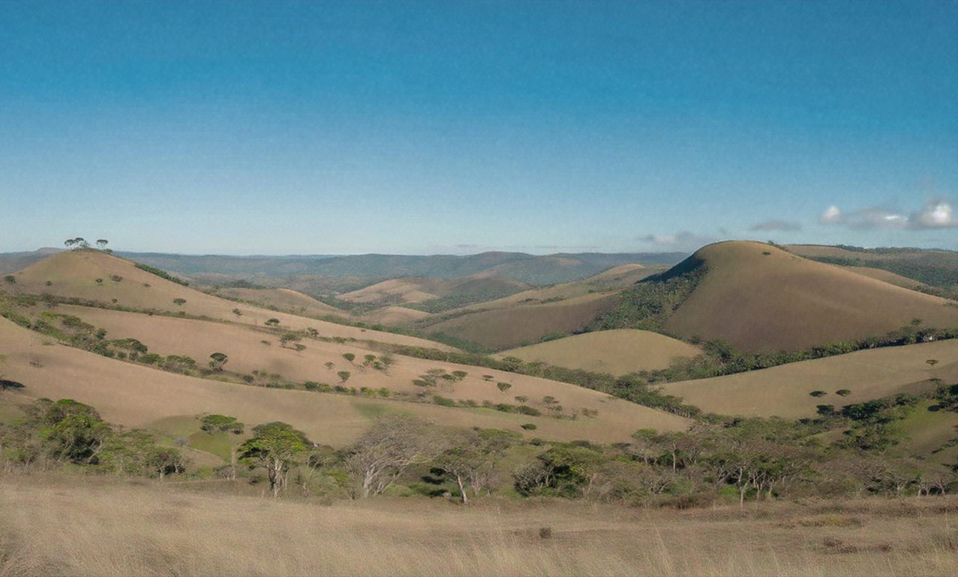 A panoramic view of the Brazilian Cerrado with its distinctive vegetation and rolling hills under a clear blue sky.